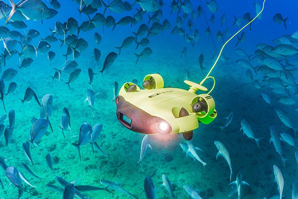 Buy XIAOKEKE Underwater Drone Submarine Camera Fifish V6 by QYSEA Wide  Angle 162˚6 Movement Directions 4K UHD 12 Mp 100 Meters Depth Cable VR  Glasses 64GB Video Photo Fishing Underwater World Online at desertcartKUWAIT