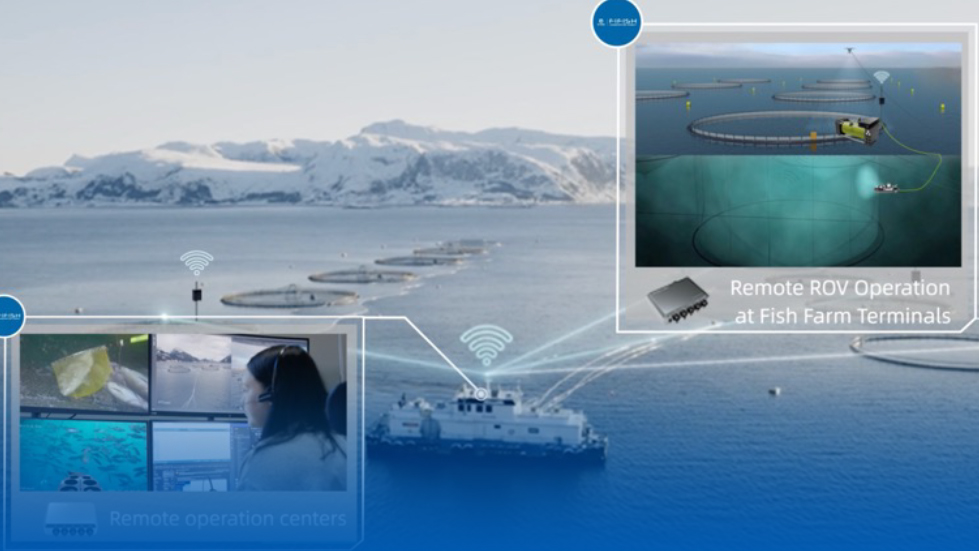 Transforming Aquaculture with 5G Functions