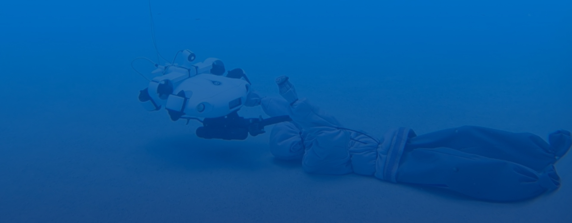 AquaBot – A Success Story in Autonomous Underwater Robotics