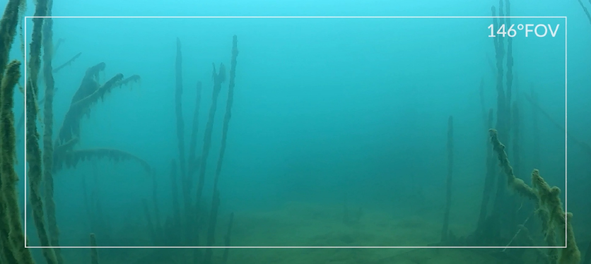 <b>Ultra-wide FOV </b>