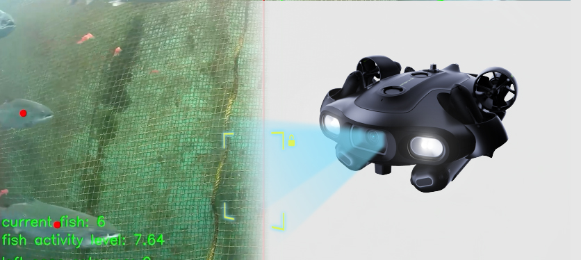 AI Features
