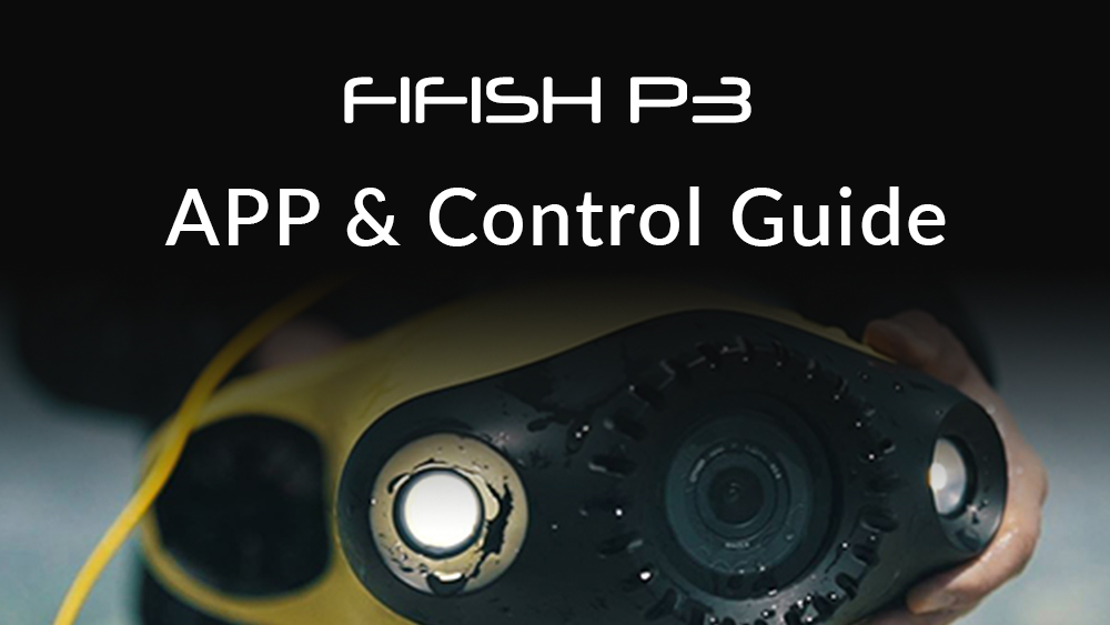 P3 | APP & Control Guide
